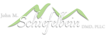 Scheifelbein Family Dentistry