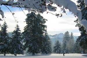 golf course nordic trail