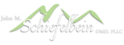Scheifelbein Family Dentistry