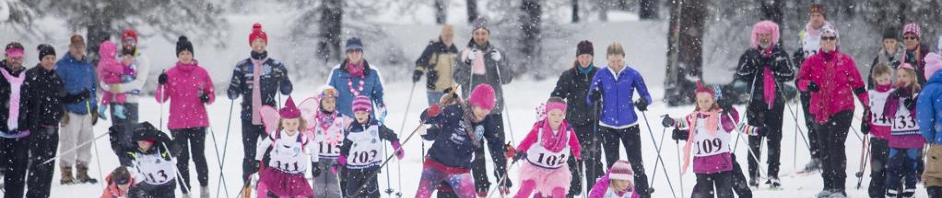 Chicks starting line